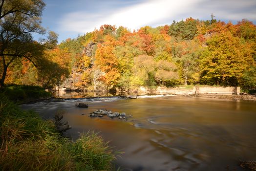 Autumn forest on coast of river on sunny day