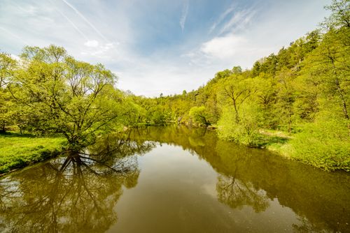 Free Picturesque landscape of tranquil river with green shores and trees growing on both sides of river on summer sunny day Stock Photo