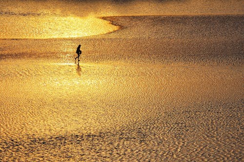 Person Walking on Mudflats