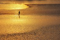 Person Walking on Mudflats