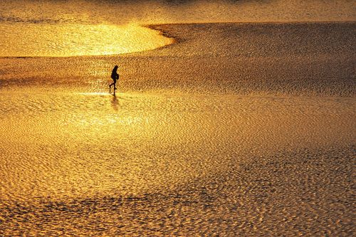 Free Silhouette of a person walking on shimmering golden mudflats during sunset. Stock Photo