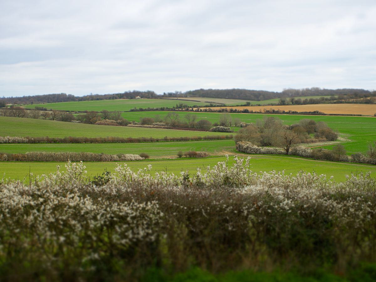 2 Day Ayurvedic 1:1 Treatments & Yoga Retreat in Hertfordshire 2