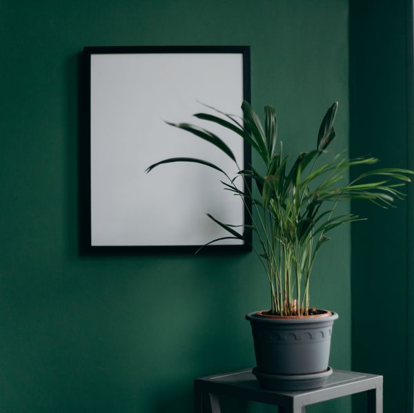 interior design trends