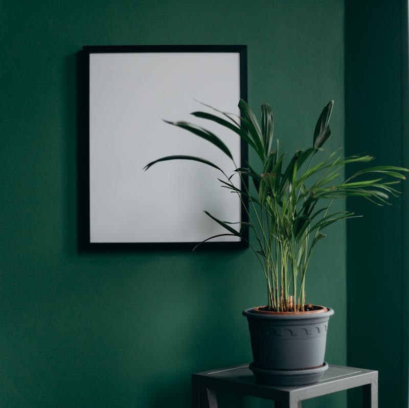 Podcast recording equipment