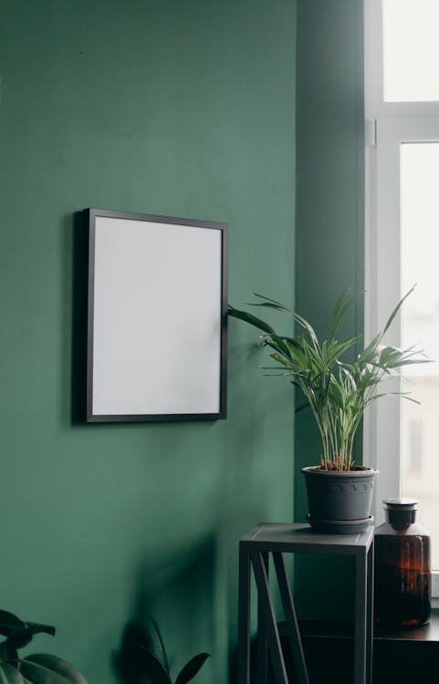 Free Black Framed Whiteboard on Green Wall Stock Photo