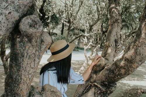Free A woman wearing a straw hat is sitting among trees in a sunny park. Stock Photo