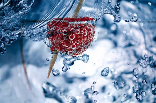 Free Red Fruit on Stick Underwater Stock Photo