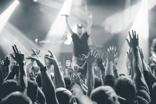 Monochrome photo capturing a vibrant live concert atmosphere with an engaging audience.