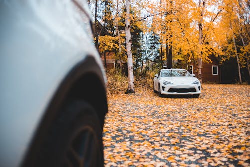 Free Photo Of White Sports Car Parked Beside Trees Stock Photo