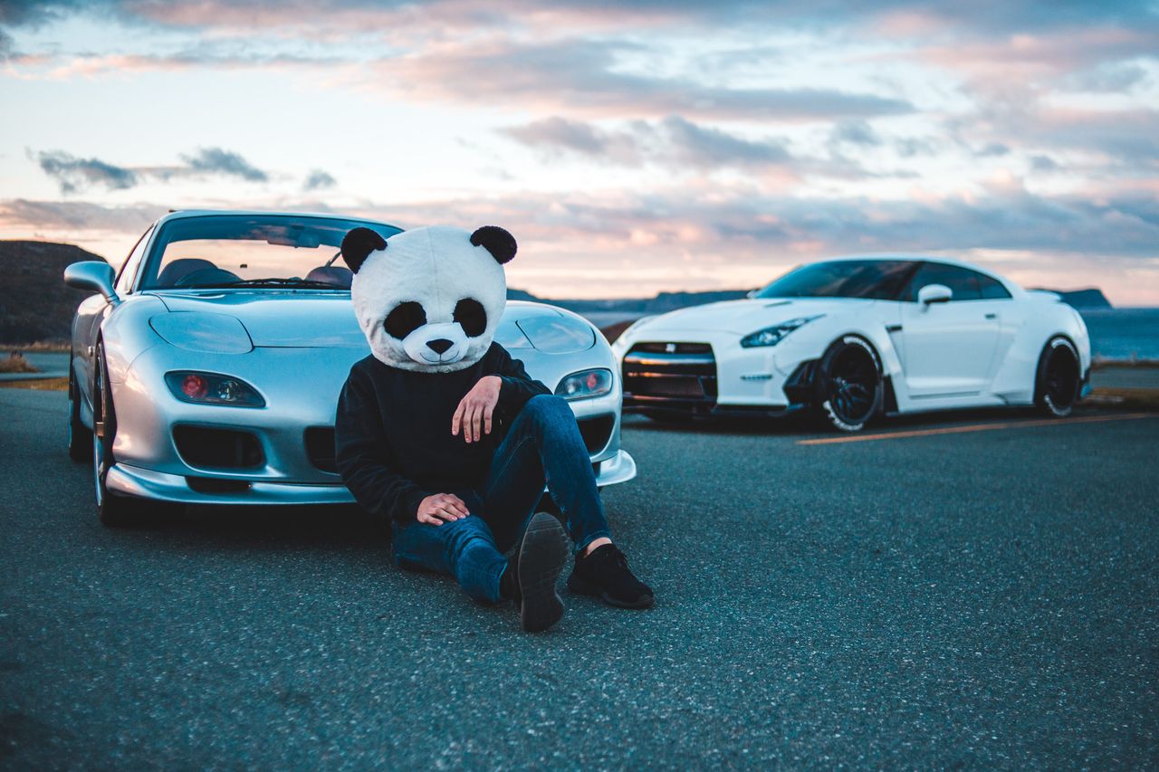 a person in a panda costume sitting by two luxury cars at twilight