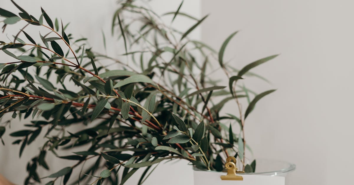 How to change sim card pin