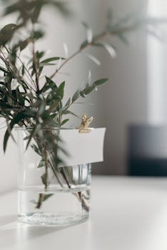 Elegant minimalist setup of a glass vase with green leafy branches on a white desk in soft lighting.