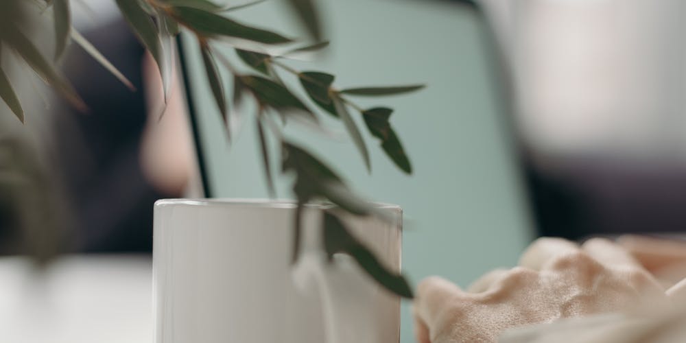 Khám Phá Thế Giới Cá Cược Online Với SV388 - Cánh Cửa Đến Thành Công Tài Chính