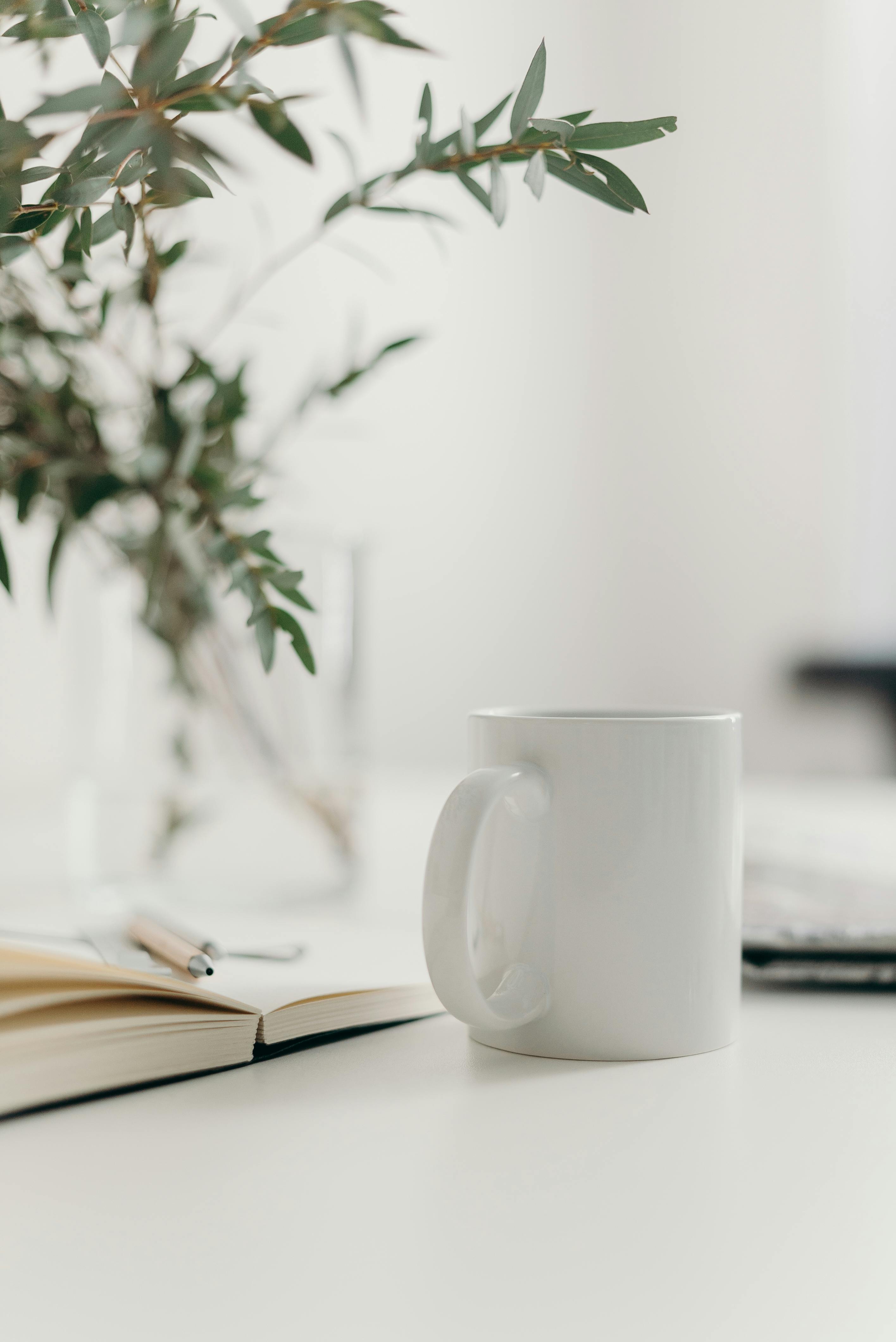 Green Mug Stock Photos and Pictures - 383,273 Images