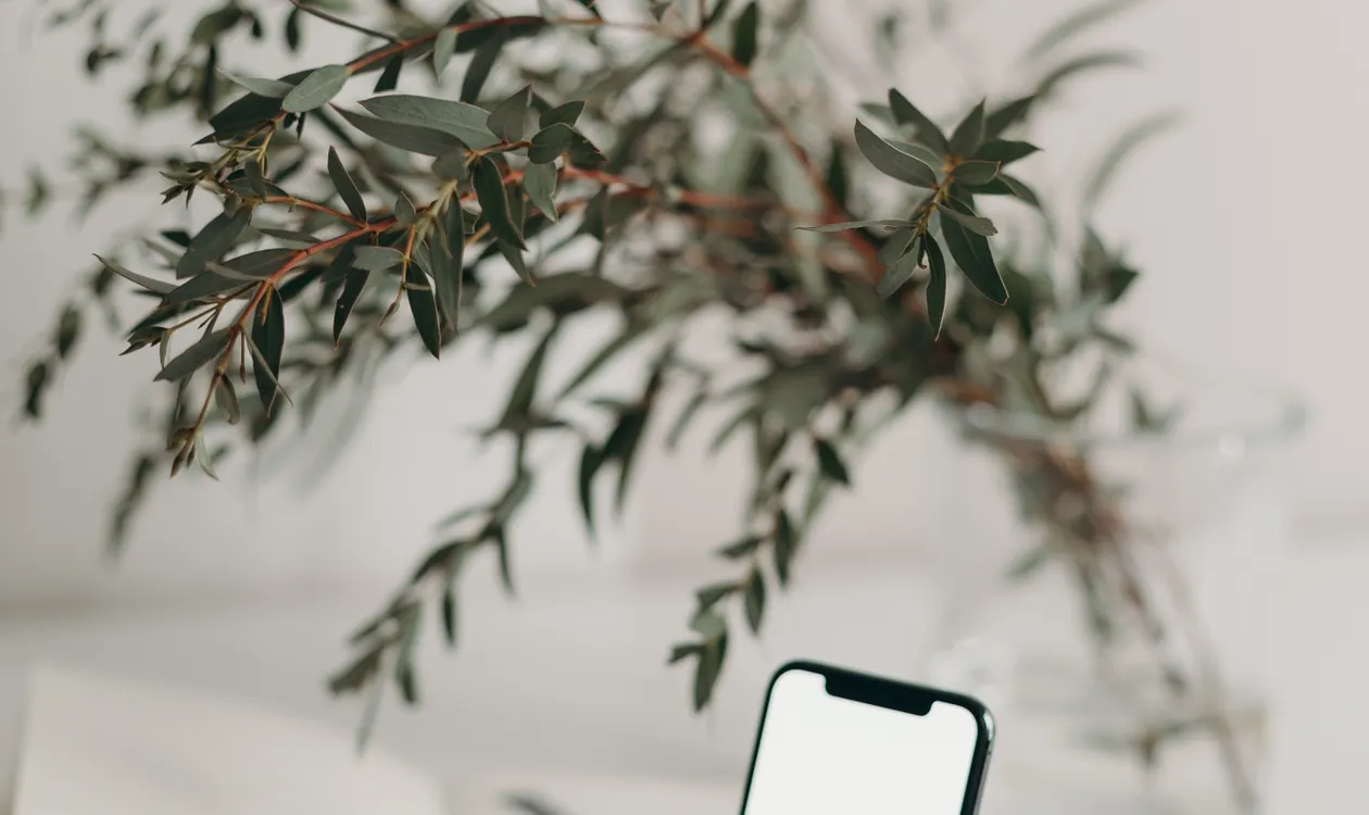 The Digital Nomad's Guide to Staying Reachable Without Paying Mobile Rates