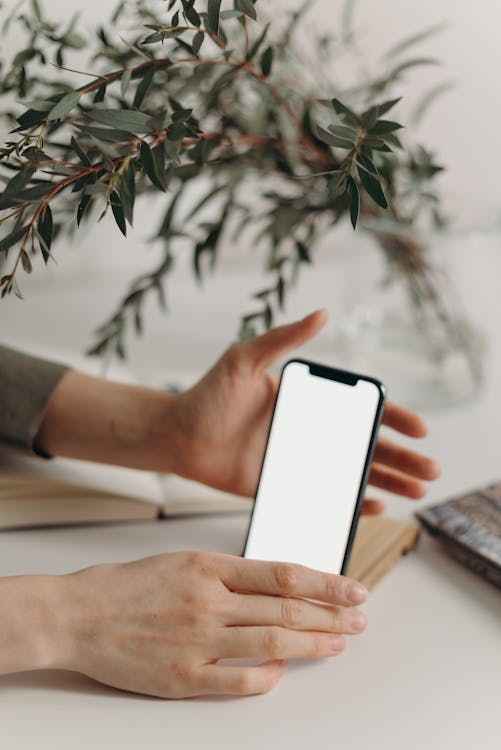 Person Holding Smartphone