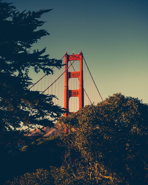 Free Golden Gate Bridge during Sunset Stock Photo