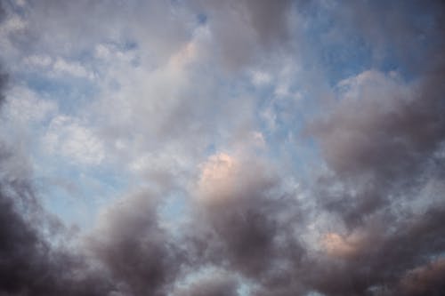 Gratis lagerfoto af atmosfære, blød, fantastisk