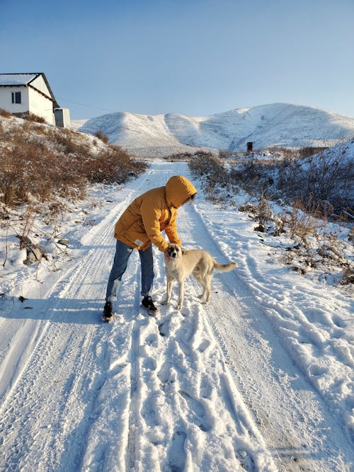 Free Photo of Person Holding a Dog on Snow Covered Ground Stock Photo