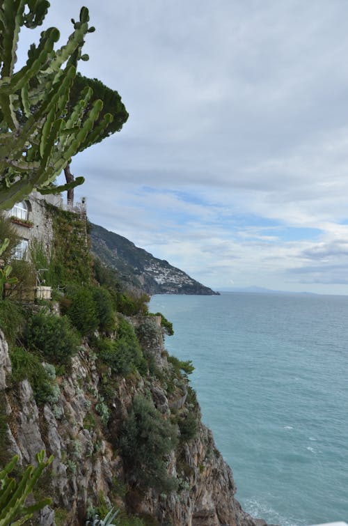 Free stock photo of amalfi, amalfi coast, cacti