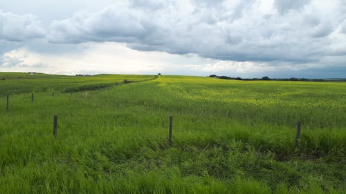 Darmowe zdjęcie z galerii z burza, prerie