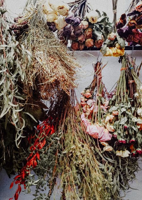 Free Vibrant bundles of dried flowers creating a rustic decorative display in Sankt-Peterburg, Russia. Stock Photo
