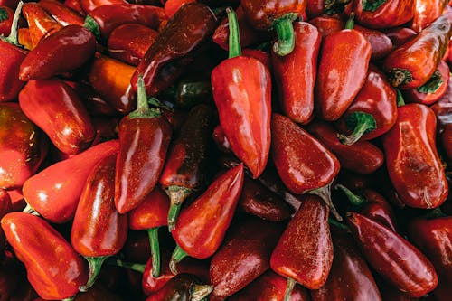 Free Red Bell Pepper Lot in Close Up Photography Stock Photo