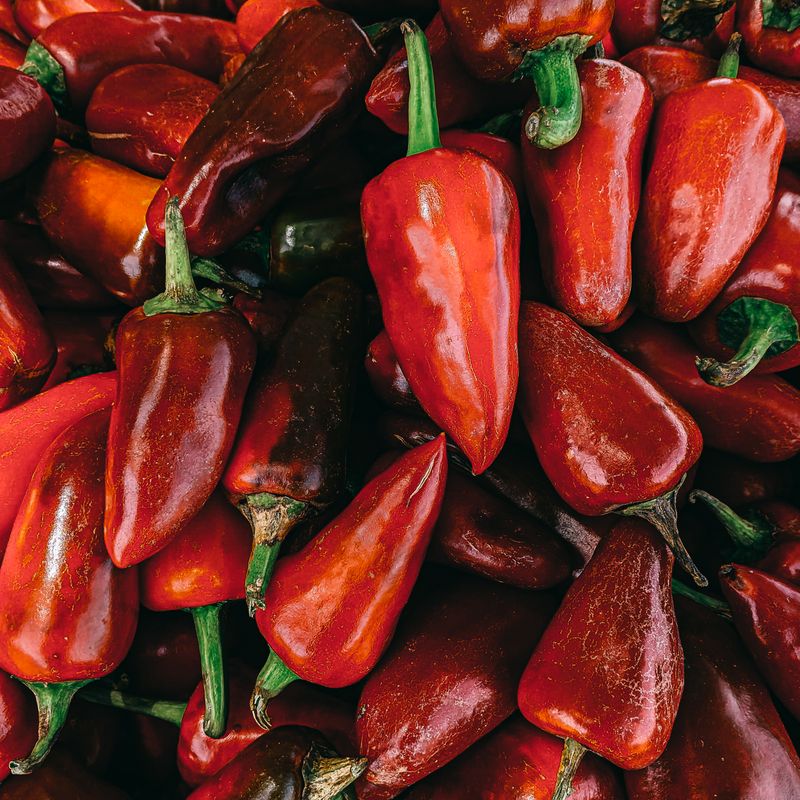 Slow Cooker Beef Chili with Bell Peppers
