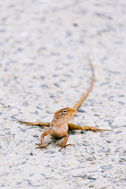 How Animals Adapt to Their Environment - Featured Image