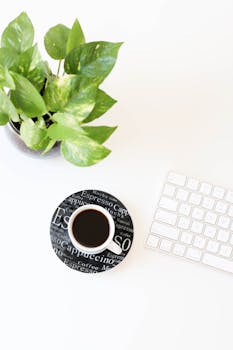 Flat lay of a creative workspace featuring a keyboard, coffee cup, and green plant on a white desk.