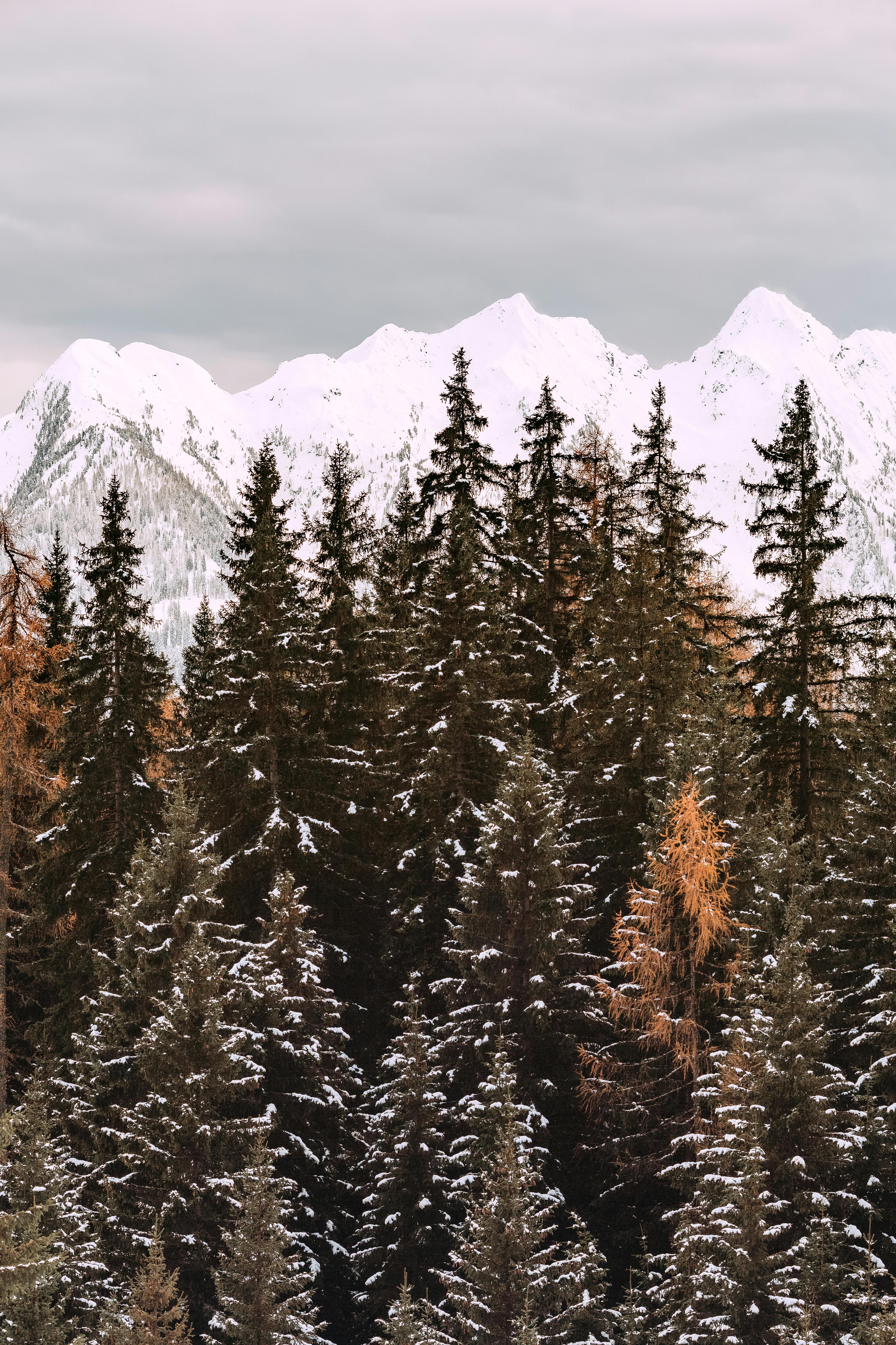 Photo Of Snow Covered Mountains During Daytime · Free Stock Photo