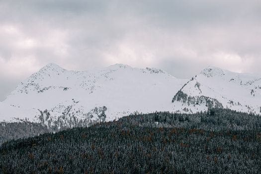 冬季，白雪覆盖的山脉和针叶林在多云的天空下呈现出令人惊叹的景色
