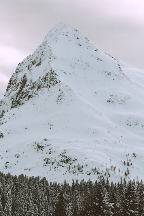 Kostenlos Kostenloses Stock Foto zu alpen, bäume, berge Stock-Foto