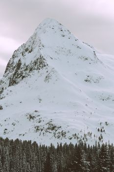 白雪皑皑的高山如田园诗般静立，下方松林宁静，共同捕捉了冬日的静谧之美