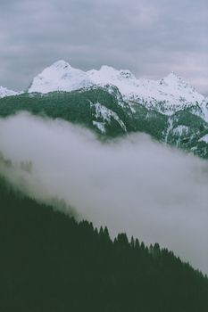 薄雾笼罩着宁静的雪山，山下是针叶林