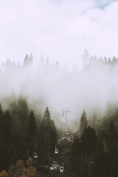 冬日多雾，我乘雪地缆车穿过一片雾蒙蒙的针叶林