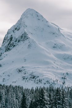 Idyllic winter scene of a snow-covered mountain peak surrounded by a tranquil pine forest.