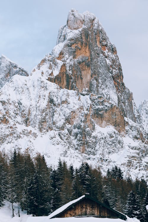 Imagine de stoc gratuită din Alpi, arbori, cabană