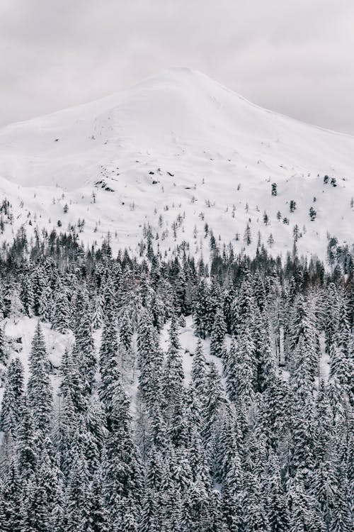 Gratis lagerfoto af 4k-baggrund, alperne, bjerge