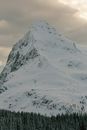 宁静的雪山和针叶林，是冬季风景爱好者的理想选择