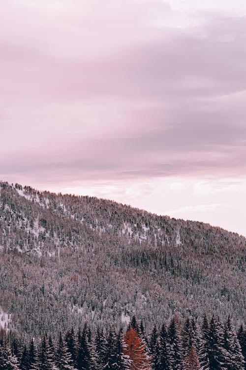 Bezpłatne Darmowe zdjęcie z galerii z alpy, chmury, cichy Zdjęcie z galerii
