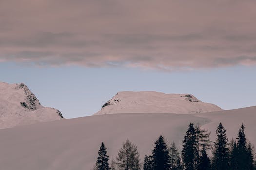 Peaceful snowy mountain scene with pine trees under a moody sky.