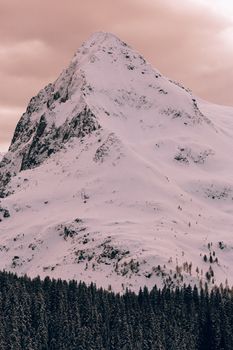 迷人的白雪覆盖的山峰周围，宁静的冬季景观和茂密的松林环绕