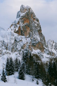 A serene capture of a towering snow-covered peak surrounded by lush pine trees under a cloudy sky.