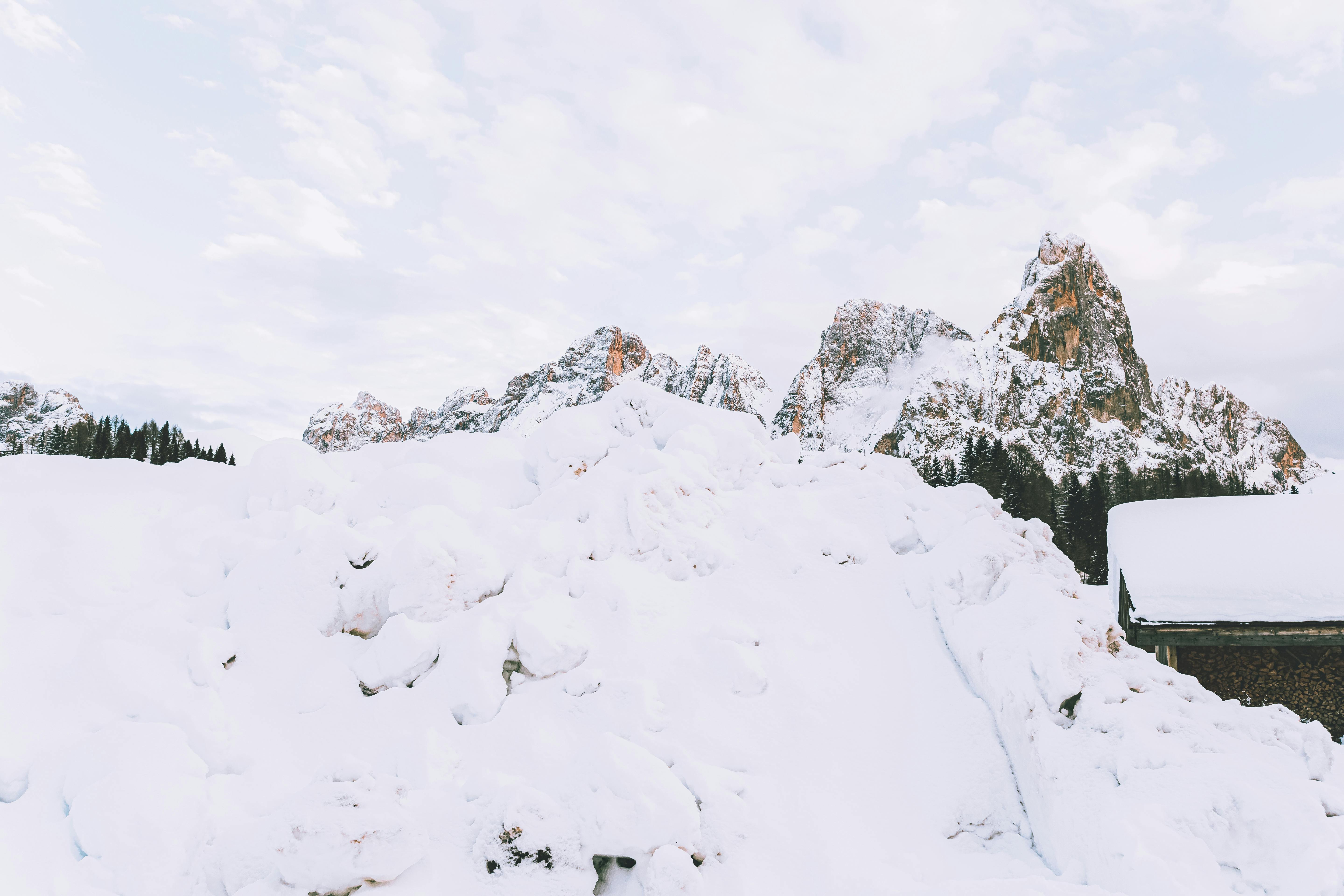 宁静的雪山、森林和晴朗的天空，共同营造出一幅宁静的冬日景象