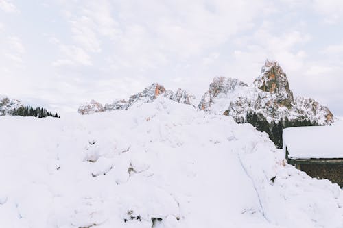 Kostenlos Kostenloses Stock Foto zu 4k wallpaper, alpen, bäume Stock-Foto