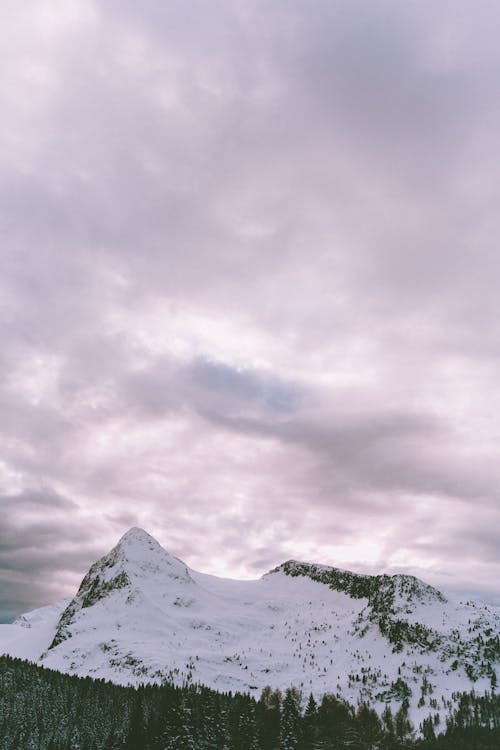 Scenic Photo Of Glacier During Daytime · Free Stock Photo