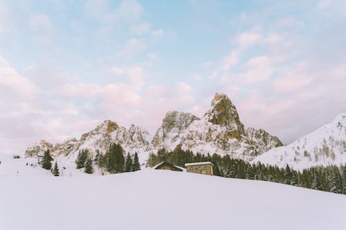 Imagine de stoc gratuită din Alpi, arbori, congela