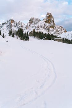 A serene snow-covered landscape featuring a mountain range and pine trees under a partly cloudy sky.