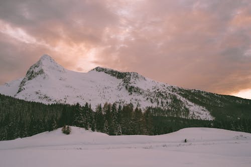 Free Photo Of Snow Covered Mountain During Dawn Stock Photo